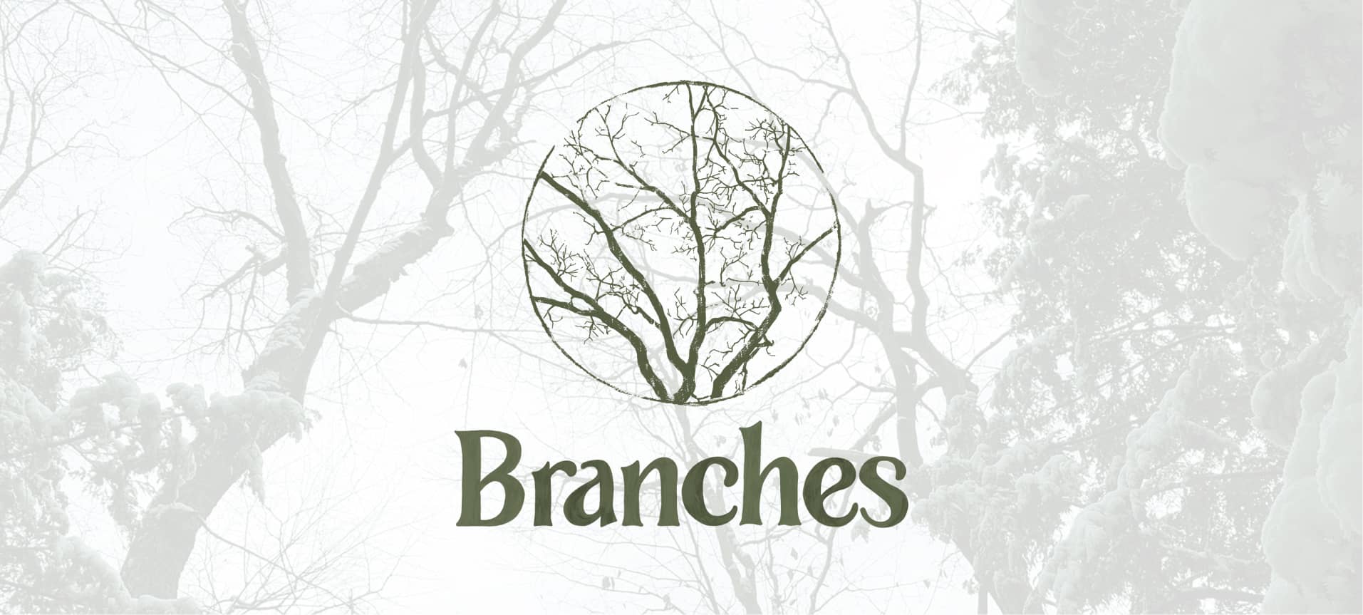 Branches logo with tree branches in the background